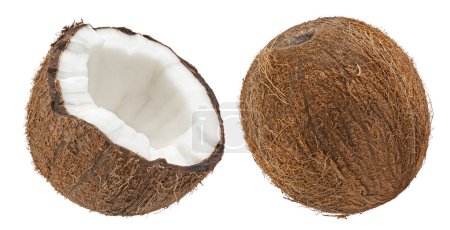 Kokosnuss isoliert auf weißem Hintergrund mit Clipping-Pfad, volle Schärfentiefe