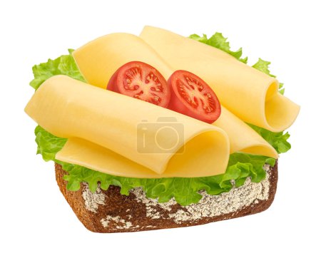 Gouda slices on rye bread, cheese sandwich with salad leaves isolated on white background, full depth of field