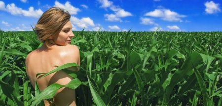 Téléchargez les photos : Jeune femme debout dans un champ de maïs vert avec un dos exposé, embrassant la beauté de la nature - en image libre de droit