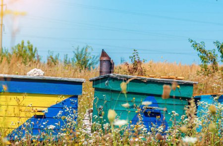Téléchargez les photos : Cheminée d'apiculteur sur une vieille ruche du village - en image libre de droit