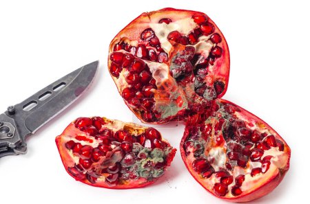 Photo for Spoiled red pomegranate with mold. Cut into parts. Sharp knife. White background, isolated. - Royalty Free Image