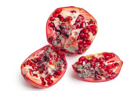 Photo for Spoiled red pomegranate with mold. Cut into pieces. White background, isolated - Royalty Free Image