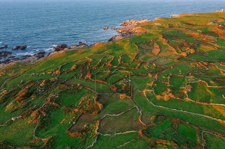Téléchargez les photos : Parcelles de terre sont marquées par des clôtures en pierre sur le rivage de l'océan - en image libre de droit