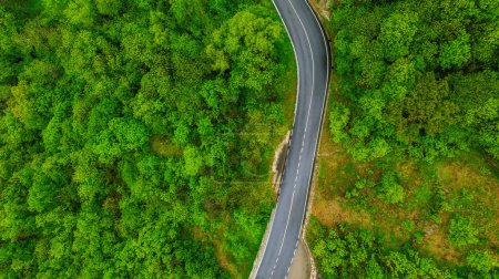 Top view of the road in the forest in the mountains. Wavy road in nature.