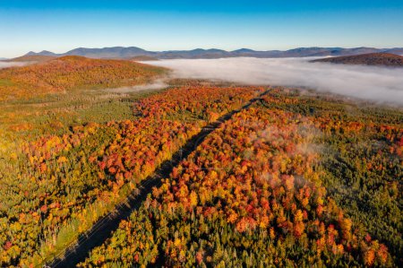Photo aérienne de la forêt d'automne. Couleurs vives des arbres, érables rouge-brun dans le brouillard. New Hampshire, États-Unis