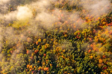 Dron photo forêt d'automne. Des arbres aux couleurs vives, des érables brun-rouge dans le brouillard. New Hampshire, États-Unis