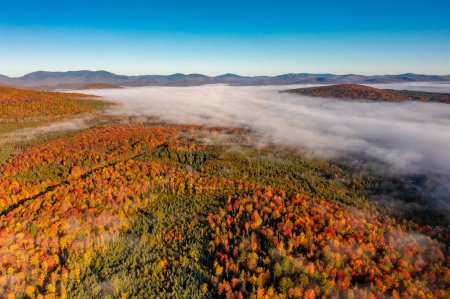 Photo atmosphérique forêt d'automne. Des arbres aux couleurs vives, des érables brun-rouge dans le brouillard. New Hampshire, États-Unis