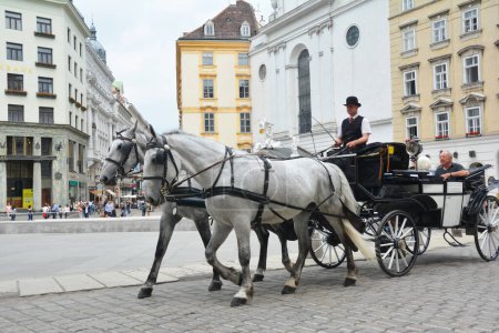 Téléchargez les photos : Vienne, Austia - 26 juin 2019 : Chariot à chevaux blancs dans le centre historique de Vienne. - en image libre de droit