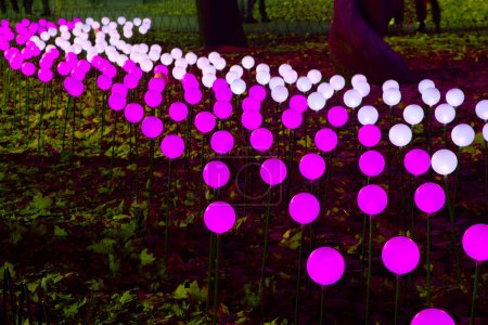 Téléchargez les photos : Éclairage LED couleur dans le parc - en image libre de droit