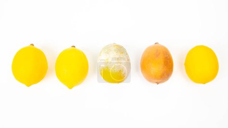 Téléchargez les photos : Citron pourri à côté de citrons frais sur un fond blanc - en image libre de droit
