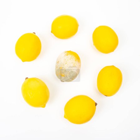 Téléchargez les photos : Citron pourri à côté de citrons frais sur un fond blanc - en image libre de droit