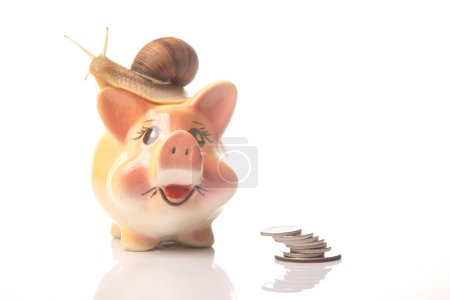 Schnecke und Sparschwein für Münzen auf weißem Hintergrund. Das Konzept der langsamen Anhäufung von Geldeinlagen. Finanzkompetenz und Geschäftsentwicklung.