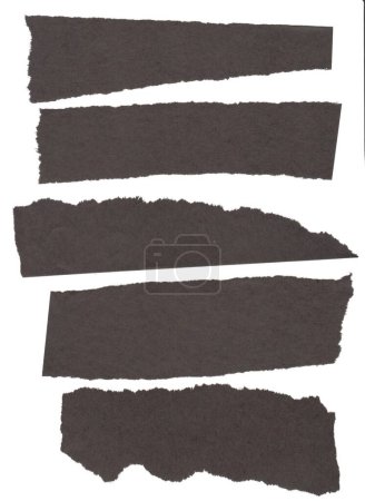 collection de morceaux de papier noir déchiré sur fond blanc.