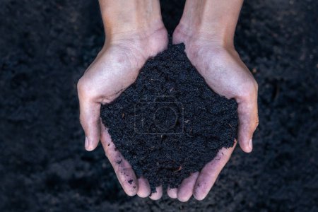 Hands holding abundance soil for agriculture or preparing to plant peach concept. Testing soil samples on hands with soil ground background. Concept of soil quality and farming. Gardening.
