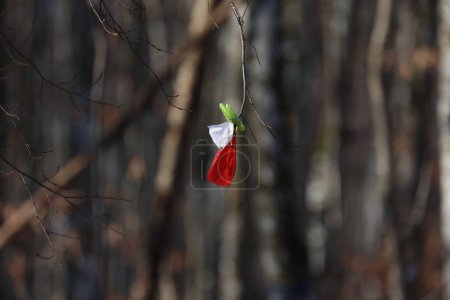 Téléchargez les photos : Bright marks in the winter forest. - en image libre de droit