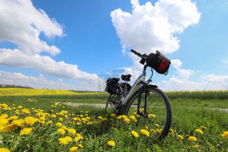 Téléchargez les photos : Un vélo se tient dans un champ de pissenlits. - en image libre de droit