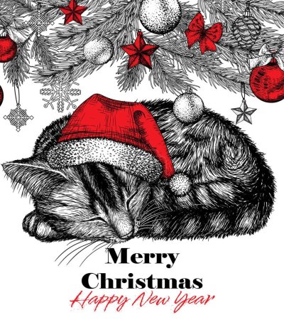  Vector illustration of a Christmas card striped cat in a hat sleeping in a ball under a decorated tree in engraving style