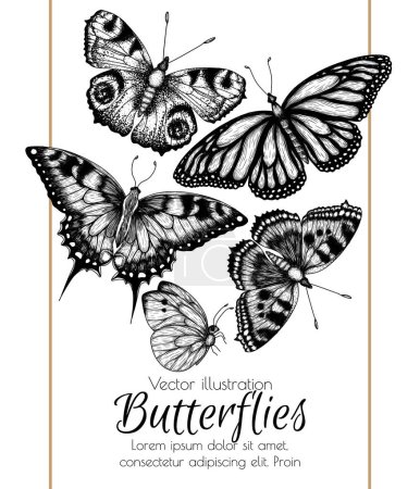 Téléchargez les illustrations : Illustration vectorielle de 5 insectes linéaires graphiques. Monarque papillon, papillon ruche, paon papillon, papillon hirondelle, pieridae en style gravure - en licence libre de droit