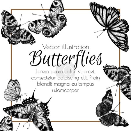 Téléchargez les illustrations : Cadre vectoriel d'insectes linéaires graphiques. Papillon monarque, papillon ruche, papillon paon, hirondelle papillon, pieridae, papillons amiral en style gravure - en licence libre de droit