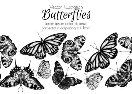 Téléchargez les illustrations : Insectes horizontaux sans couture. Papillon monarque, papillon ruche, papillon paon, hirondelle papillon, pieridae, papillons amiral en style gravure - en licence libre de droit