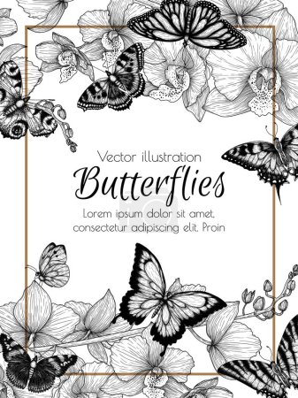 Téléchargez les illustrations : Vector frame flower and insects. Orchid, monarch butterfly, hive butterfly, peacock butterfly, butterfly swallowtail, pieridae, butterflies admiral, podalirius, papilio in engraving style - en licence libre de droit