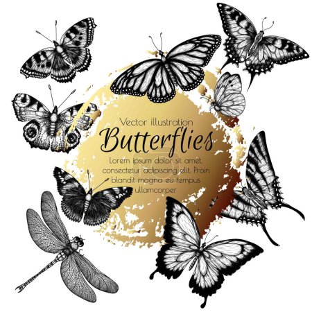 Téléchargez les illustrations : Insectes vectoriels. Monarque papillon, papillon ruche, paon papillon, papillon hirondelle, pieridae, papillons amiral, podalirius, papilio, libellule en style gravure - en licence libre de droit