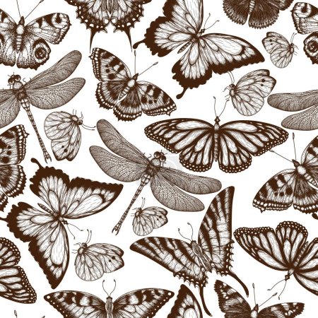 Téléchargez les illustrations : Modèle vectoriel sans couture avec des insectes. Monarque papillon, papillon ruche, paon papillon, papillon hirondelle, pieridae, papillons amiral, podalirius, papilio, libellule en style gravure - en licence libre de droit