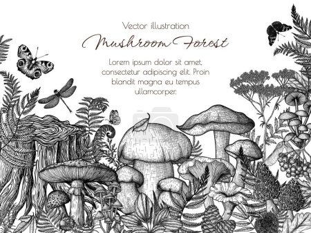 Téléchargez les illustrations : Cadre vectoriel de champignons dans la forêt en style gravure. Graphisme linéaire mouche agarique, chanterelles, cèpes, champignons miel, morilles, mycènes, russules, bolets entourés de plantes - en licence libre de droit