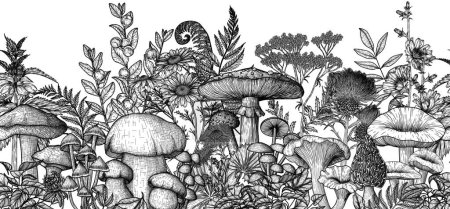 Illustration for Seamless horizontal forest pattern with mushrooms, plants, herbs. Linear fly agaric, chanterelles, porcini mushroom, honey mushrooms, morels, mycena, russula, boletus, nettle, fern, chicory, chamomile - Royalty Free Image
