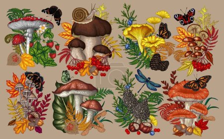 Illustration for Vector set of 8 bushes with mushrooms, plants, insects, berries. Fly agaric, chanterelles, white mushroom, honey agaric, boletus, morel, russula, snail, strawberry, fern, butterflies, dragonfly - Royalty Free Image