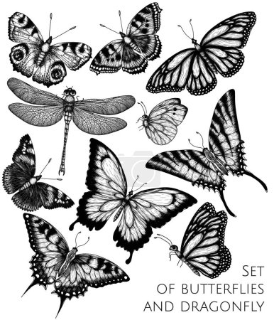  Vector set of 9 insects. Monarch butterfly, hive butterfly, peacock butterfly, butterfly swallowtail, pieridae, butterflies admiral, podalirius, papilio, dragonfly  in engraving style