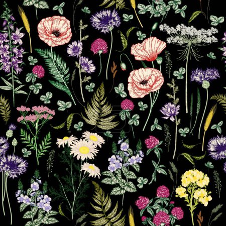  Vector seamless pattern of wildflowers and plants. Chamomile, clover, fern, chicory, poppy, valerian, cornflowers, bluebells, St. John's wort, veronica in engraving style