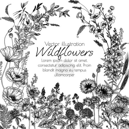 Illustration for Vector frame of wild flowers and plants. Chamomile, clover, chicory, poppy, cornflower, bells, periwinkle, buttercup, veronica in engraving style - Royalty Free Image