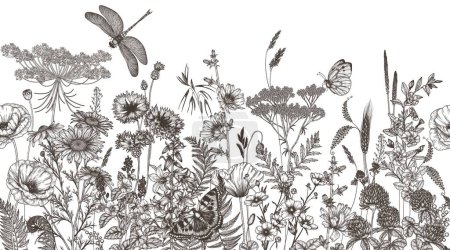 Illustration for Seamless horizontal pattern of wildflowers and plants. Chamomile, clover, chicory, poppy, cornflower, bells, periwinkle, buttercup, veronica, butterfly, dragonfly in engraving style - Royalty Free Image
