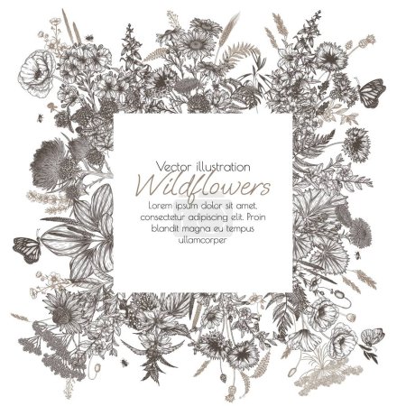 Illustration for Vector frame of wild flowers and herbs. Chamomile, clover, chicory, poppy, cornflower, bluebells, periwinkle, buttercup, St. John's wort, fern, veronica, nettle, plantain, coltsfoot in engraving style - Royalty Free Image