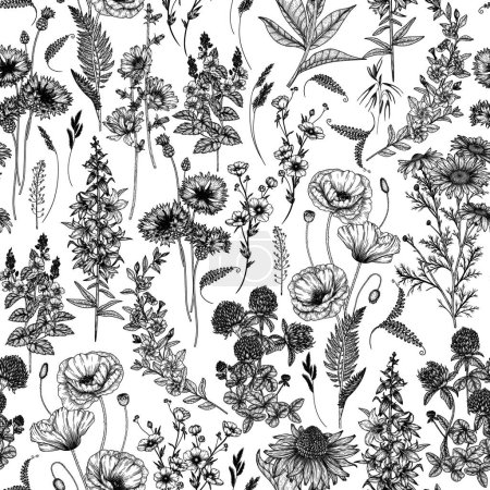 Illustration for Seamless vector pattern wild flowers. Chamomile, poppy, clover, cornflowers, periwinkle, veronica, echinacea, ranunculus, chicory, bluebells in engraving style - Royalty Free Image