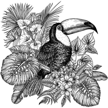  Illustration vectorielle d'un oiseau toucan dans un jardin tropical en style gravure. Anthurium, feuilles de palmier et de banane, liviston, plumeria, zantedeschia, monstera, strelitzia