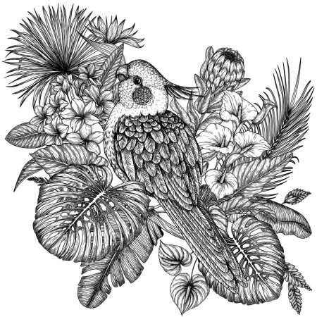  Illustration vectorielle d'un perroquet coq dans un jardin tropical dans un style gravé. Anthurium, feuilles de palmier et de banane, liviston, plumeria, zantedeschia, monstera, strelitzia