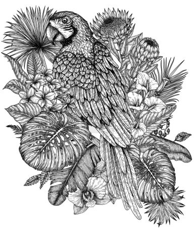  Vektorillustration eines Ara-Papageienvogels in einem tropischen Garten im Stich-Stil. Anthurium, Palm- und Bananenblätter, liviston, plumeria, zantedeschia, monstera, strelitzia