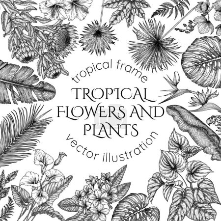  Tropical garden vector frame in engraving style. Anthurium, aralia, protea, palm and banana leaves, orchid, liviston, sabal, plumeria, zantedeschia, strelitzia, hibiscus