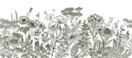 Illustration for Seamless horizontal pattern of wildflowers and plants. Chamomile, clover, chicory, poppy, cornflower, bells, periwinkle, buttercup, veronica in engraving style - Royalty Free Image