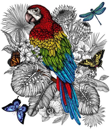  Vektorillustration eines Ara-Papageienvogels in einem tropischen Garten im Stich-Stil. Anthurium, Palm- und Bananenblätter, liviston, plumeria, zantedeschia, monstera, Schmetterling, Libelle