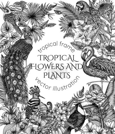  Marco vectorial con jardín tropical con aves exóticas. Loro guacamayo, tucán, abubilla, pavo real, flamencos y loro cacatúa en estilo grabado
