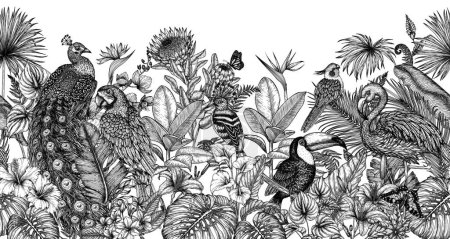  Horizontal vector seamless pattern with tropical garden with exotic birds. Macaw parrot, toucan, hoopoe, peacock, flamingos and cockatiel parrot in engraving style