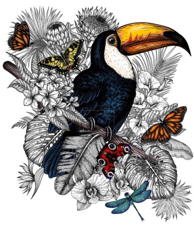 Illustration for Vector illustration of a toucan bird in a tropical garden with butterflies in an engraving style. Anthurium, palm and banana leaves, liviston, plumeria, zantedeschia, monstera, strelitzia - Royalty Free Image