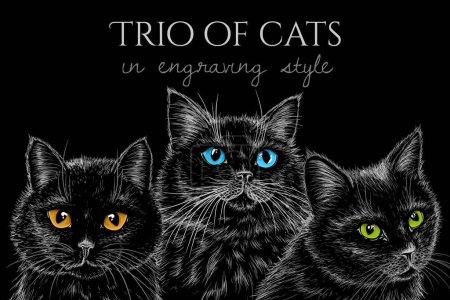  Illustration vectorielle de 3 chats noirs sur fond noir avec des yeux de différentes couleurs dans le style de gravure
