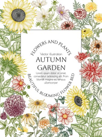  Vector frame autumn garden. Dahlia, cosmos, zinnia, marigold, calendula, rudbeckia, sunflower in engraving style
