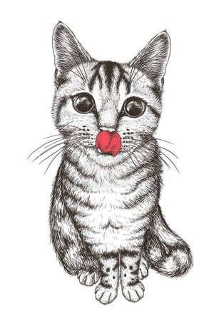 Téléchargez les illustrations : Illustration vectorielle d'un chat rayé qui se lèche les lèvres en style gravure. Vue d'en haut - en licence libre de droit