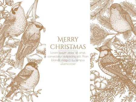 Téléchargez les illustrations : Modèle de carte vectorielle avec des oiseaux dans la forêt d'hiver. Ailes de cire, merle, chardonneret geai bleu en style gravure - en licence libre de droit