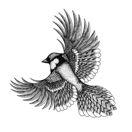  Vektor-Illustration eines blauen Eichelhäher-Vogels im Flug im Stich-Stil